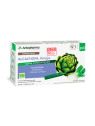 Arkopharma Arkofluides Artichaut-Fenouil 20 Ampoules Buvables