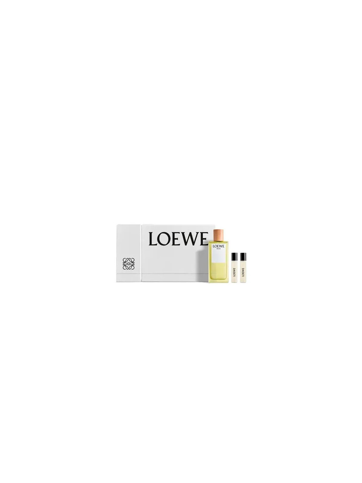 Loewe Agua Eau De Toilette Spray 100ml Coffret