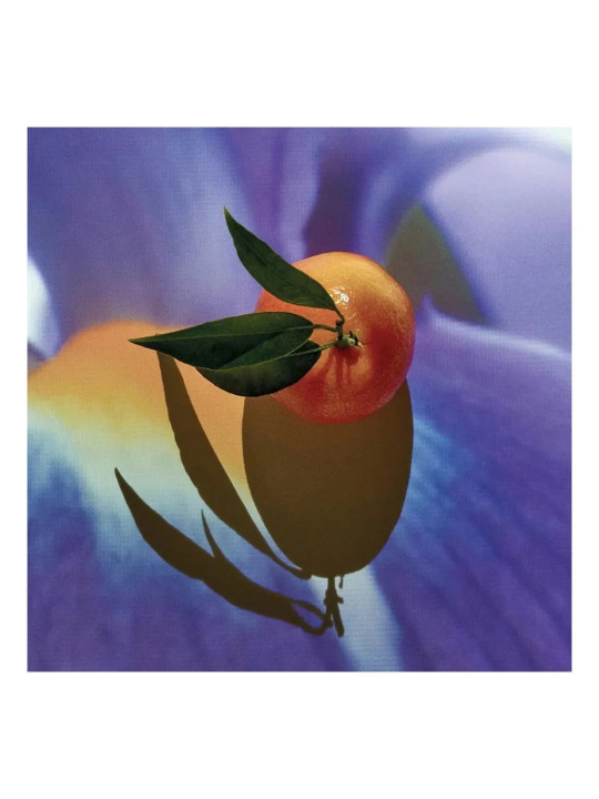 Loewe Solo Elixir Eau de Parfum 50ml