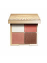 Clarins All-In-One Palette 12g Édition Limitée