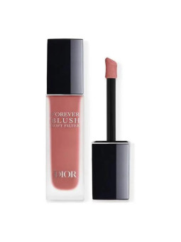Dior Forever Blush Soft Filter 02