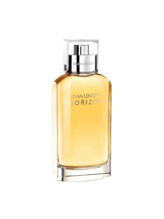 Davidoff Horizon Eau De Toilette Vaporisateur 125ml
