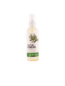 Tot Herba Huile Corporelle Romarin 100ml