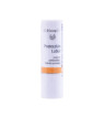 Dr. Hauschka Protection des Lèvres 4,9g