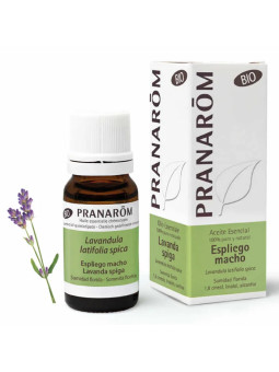 Pranarôm Lavande Aspic (Lavandula latifolia spica) Bio 10ml