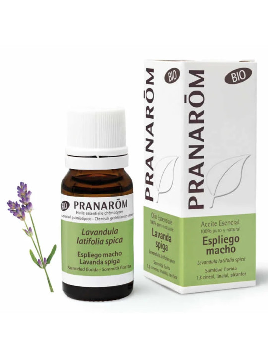 Pranarôm Lavande Aspic (Lavandula latifolia spica) Bio 10ml