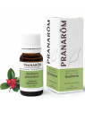 Pranarôm Gaulthérie Couchée (Wintergreen) Huile Essentielle 10ml