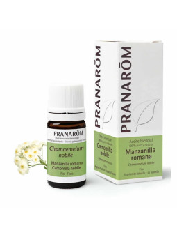 Pranarôm Camomille Noble (Chamaemelum nobile) Huile Essentielle 5ml