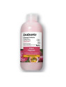 Babaria Color Capture Shampooing Protecteur Couleur 500ml