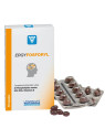 Nutergia Ergyfosforyl 60 Capsules