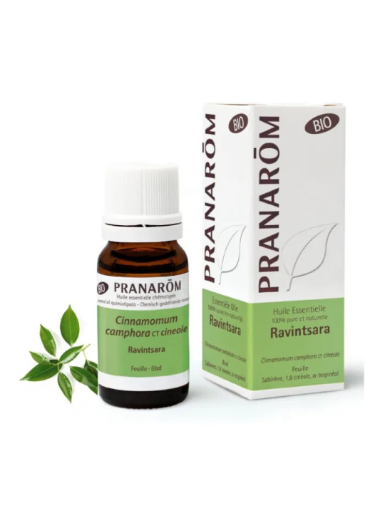 Pranarôm Huile Essentielle Ravintsara 10ml