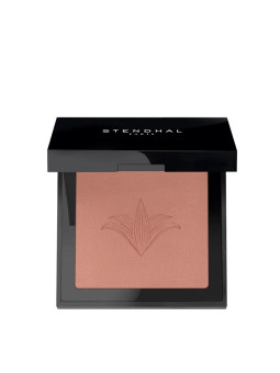 Stendhal Blush Illuminateur 302 Brun Petra 5.5g