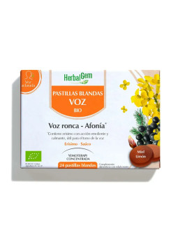 Pranarôm Pastilles Molles Voix Enrouée Aphonie 24 Pastilles