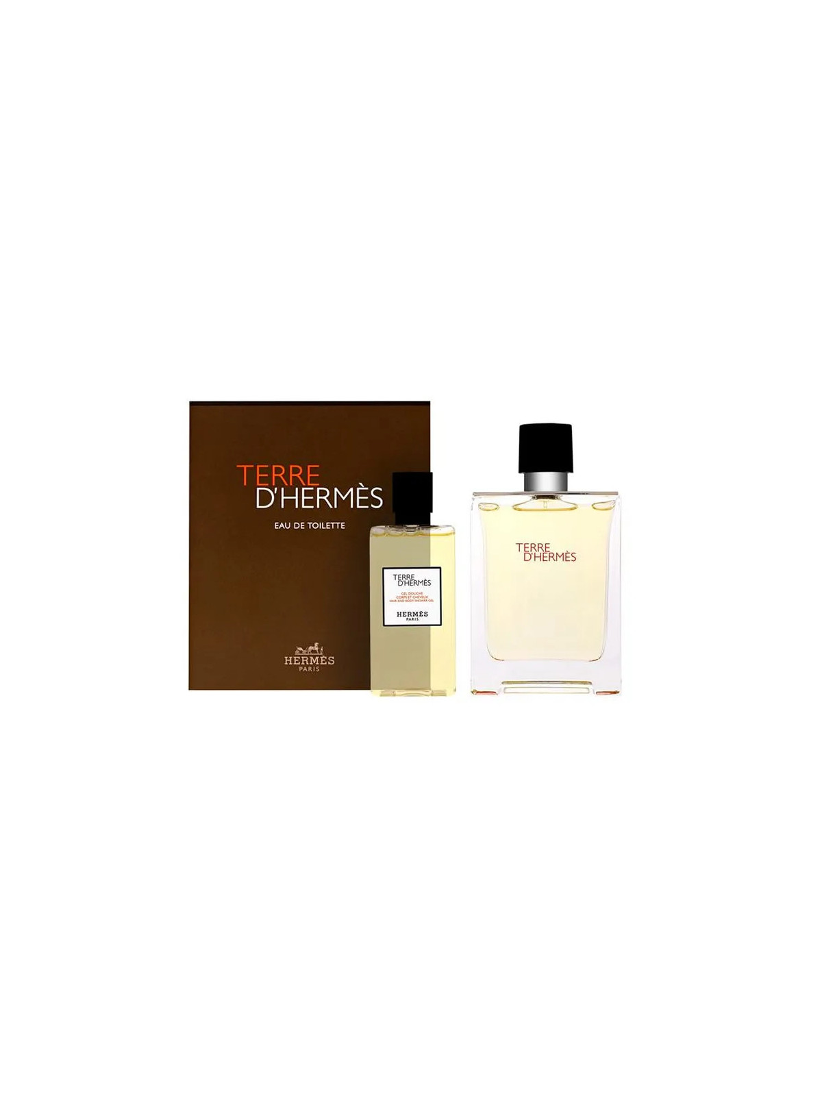 Hermès Terre d'Hermès Eau de Toilette Vaporisateur 100ml Coffret 2 Produits