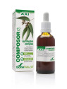 Soria Composor 12 Eucalyptus S XXI 50ml