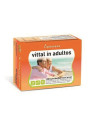 Plameca Vittal In Adultes Rénové 20 Ampoules