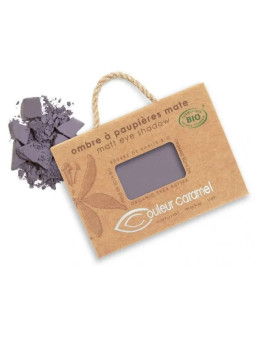 Couleur Caramel Ombre à Paupières N°036 Mauve Sombre Recharge 1 Unité