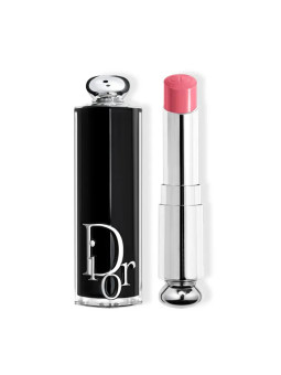 Dior Addict Lipstick Rouge à Lèvres 373 1 unité