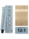 Schwarzkopf Igora Royal Highlifts Coloration Cendré 12-1 60ml