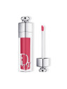 Dior Addict Lip Maximizer Rouge à Lèvres 029